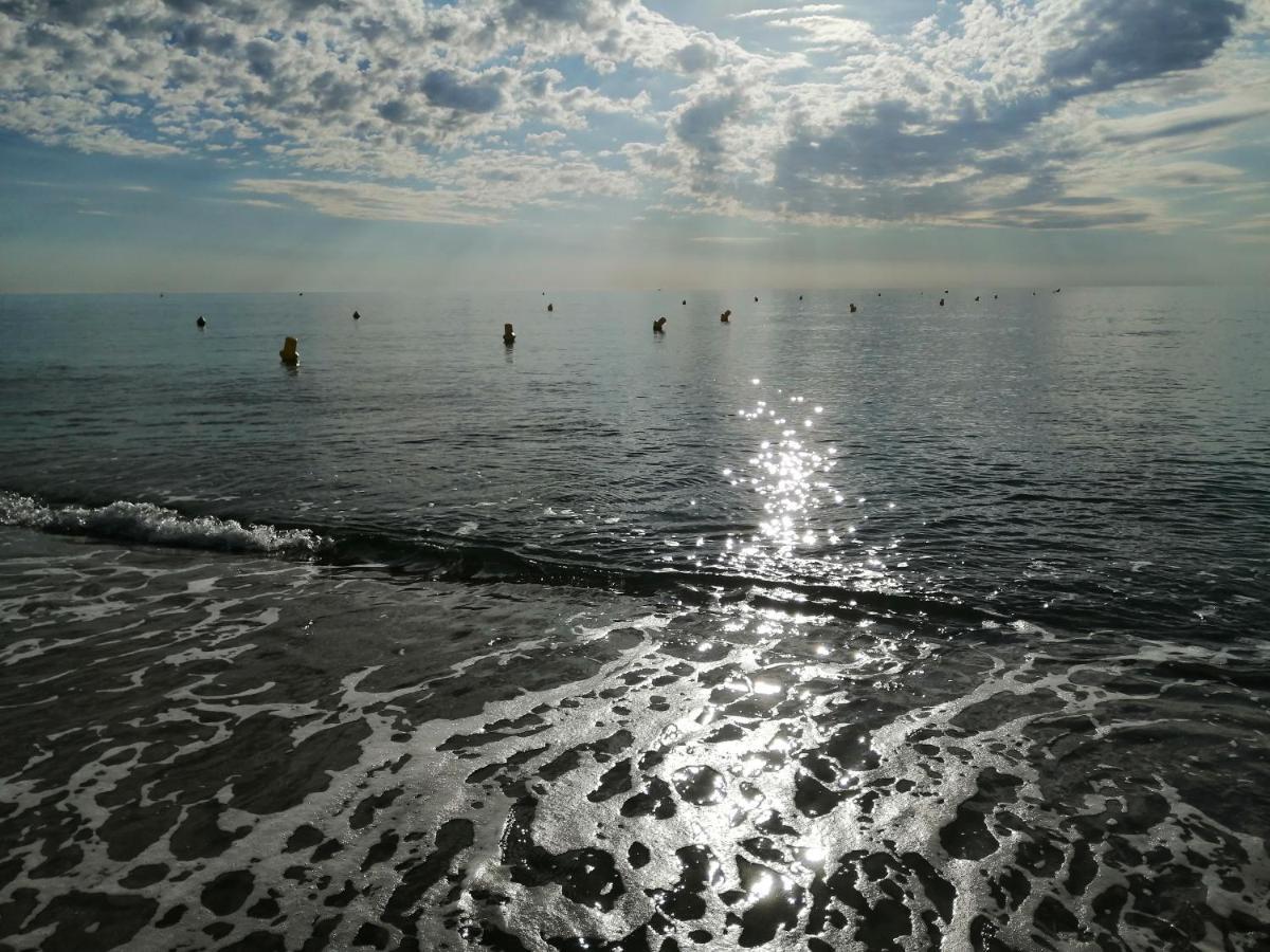 Palm Beach Le Barcarès Εξωτερικό φωτογραφία